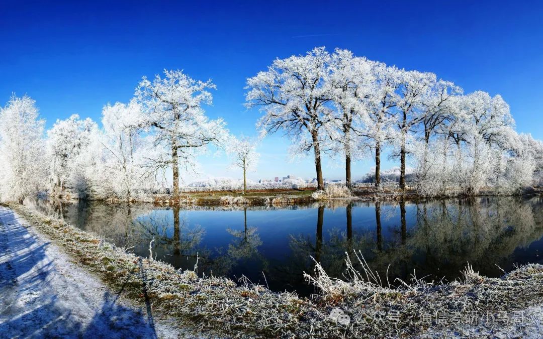 真的太好考了！扩招+爆冷全录取+保护一志愿+专业课简单！Buff叠满！-梦马考研