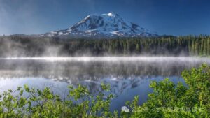 暴涨40分！很多人复试不及格！-电气考研