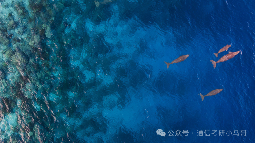 王炸！逆天院校，大量缺考+复试不及格！广东工业大学809-梦马考研