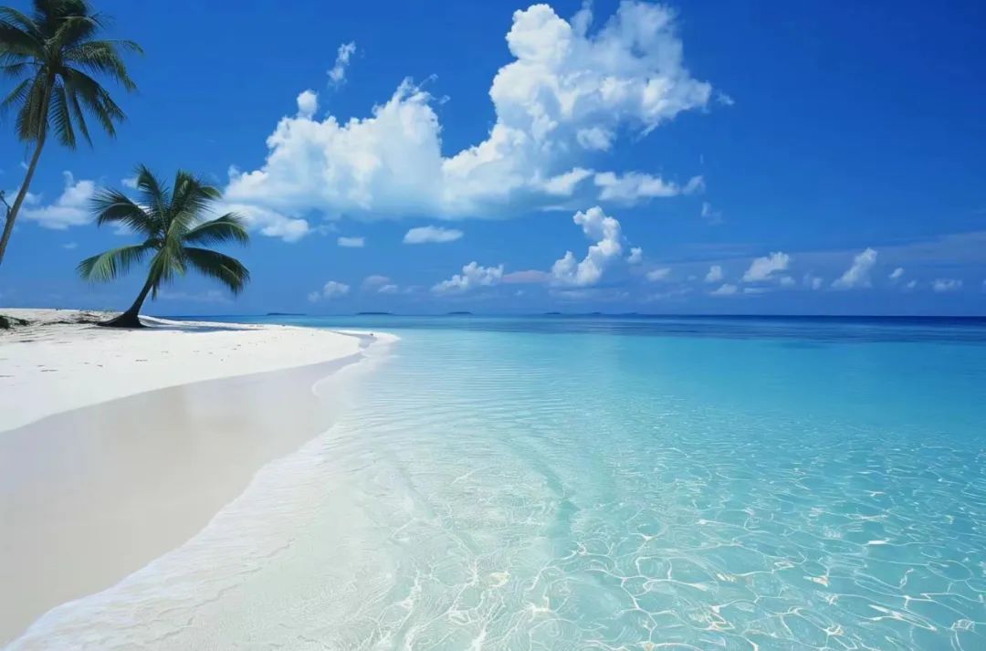 报过的都真香！今年这211不得炸？海南大学838-梦马考研