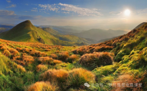 招不满！24年只刷3人，上线就要！北方民族大学861-电气考研