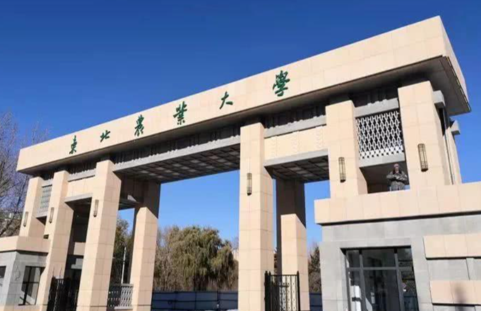 梦马考研,梦马强哥,b站up犹如雨下,用简单语言讲复杂电路！