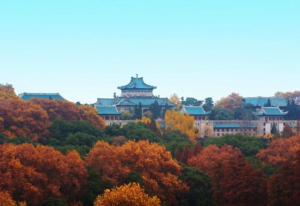 梦马考研,梦马强哥,b站up犹如雨下,用简单语言讲复杂电路！
