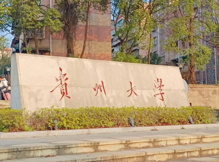 省内唯一211，录取最低国家线！贵州大学923-电气考研