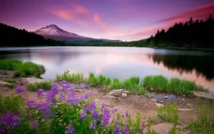 捡漏！国防七子，311分上岸顶尖985！-电气考研