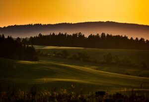 全面大缩招,学硕暴降41分,专硕暴涨38分!-电气考研