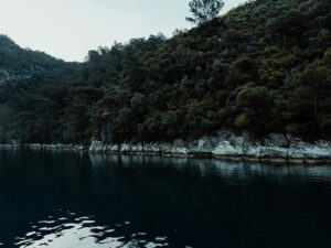 东北顶级985,学硕爆降49分,专硕爆降66分!-电气考研