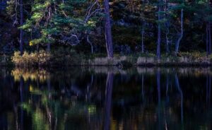 【25真题】211好题!-电气考研