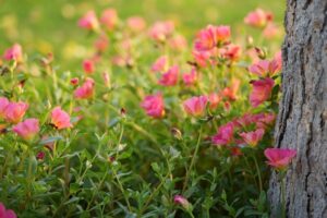 狠人！【985】+【仅招1人】也敢报！-电气考研