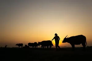 【持续更新】基本电路分析复试高频问题汇总-电气考研